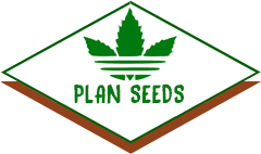 Planseeds логотип магазина