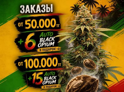 Акция