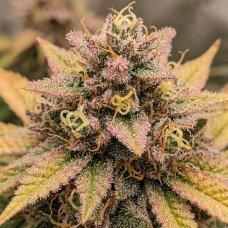 Купить стакан травы Zkittlez